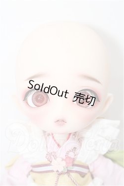 画像7: Harmonia bloom/ソメイヨシノ S-26-02-22-211-TO-ZS