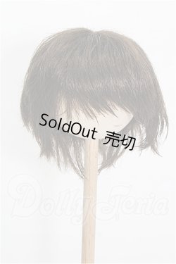 画像1: 8-9inch/ウィッグ S-26-02-22-334-TO-ZS