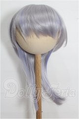 8-9inch/ウィッグ S-26-03-01-280-TO-ZS