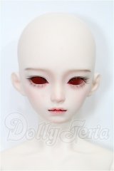 XAGADOLL/STORM S-26-03-01-201-TO-ZS