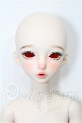 XAGA DOLL/Aurora S-26-03-01-203-TO-ZS