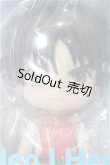 ねんどろいど/幻想水滸伝I主人公 S-26-08-09-576-TO-ZS