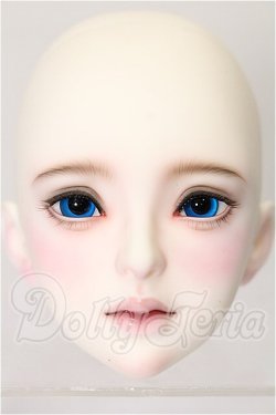 画像1: UNIVERSAL DOLL/ドール用ヘッド S-26-03-01-112-TO-ZS