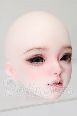 画像3: Angel Studio/Nicoleヘッド S-26-03-01-123-TO-ZS