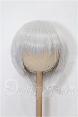8-9inch/ウィッグ S-26-03-01-195-TO-ZS