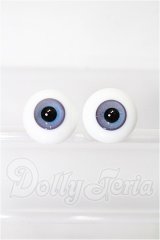 16mm/グラスアイ　silver様製 S-26-03-01-170-TO-ZS