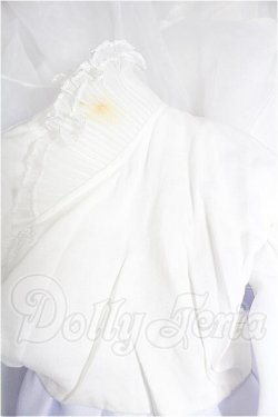 画像5: SD17B/OF:衣装セット S-26-03-01-302-YB-ZS