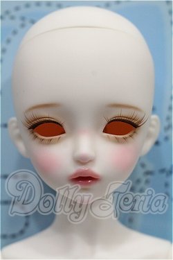 画像1: LINA CHOUCHOU/Forever in Bloom,Iberis S-26-03-08-105-TO-ZS