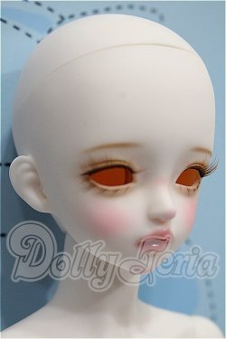 画像2: LINA CHOUCHOU/Forever in Bloom,Iberis S-26-03-08-105-TO-ZS