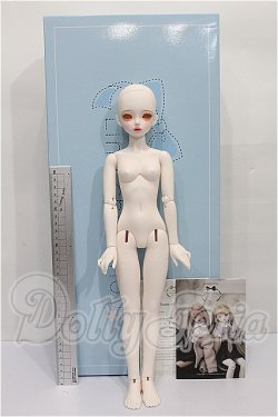 画像4: LINA CHOUCHOU/Forever in Bloom,Iberis S-26-03-08-105-TO-ZS