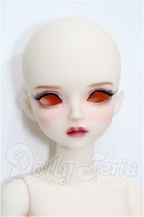 【DOLK×MYOU DOLL】Delia - The Royal Maid ver. Limited S-26-03-22-101-TO-ZS