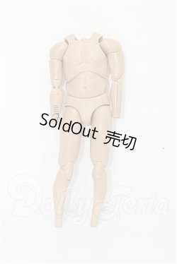 画像1: 1/6USアクションフィギュア/ボディのみ S-26-05-10-534-TO-ZS