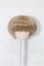 画像1: 4.5inch/ウィッグ S-26-03-22-269-TO-ZS (1)