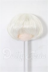 5inch/ウィッグ S-26-03-22-274-TO-ZS