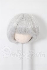 5inch/ウィッグ S-26-03-22-273-TO-ZS