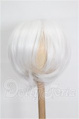 8-9inch/ウィッグ S-24-04-05-290-TO-ZS