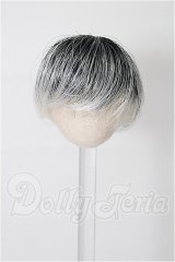 4inch/ウィッグ S-26-03-29-237-TO-ZS