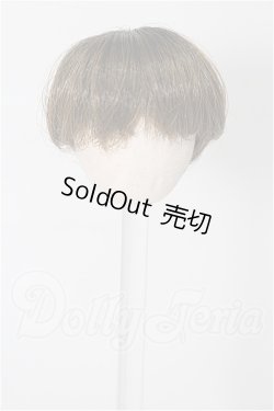 画像1: 4inch/ウィッグ S-26-03-29-238-TO-ZS