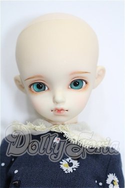画像2: rosenlied /wendsday's　child　Basic daisy S-26-04-05-102-TO-ZS