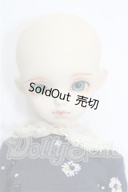 画像2: rosenlied /wendsday's　child　Basic daisy S-26-06-07-370-TO-ZS