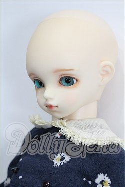 画像3: rosenlied /wendsday's　child　Basic daisy S-26-04-05-102-TO-ZS