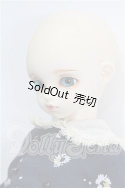 画像3: rosenlied /wendsday's　child　Basic daisy S-26-06-07-370-TO-ZS