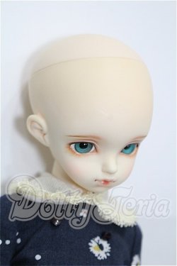 画像4: rosenlied /wendsday's　child　Basic daisy S-26-04-05-102-TO-ZS