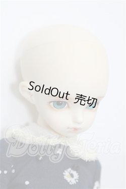 画像4: rosenlied /wendsday's　child　Basic daisy S-26-06-07-370-TO-ZS