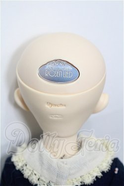 画像5: rosenlied /wendsday's　child　Basic daisy S-26-04-05-102-TO-ZS