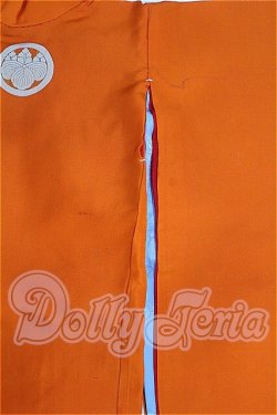 画像6: SD/OF:衣装セット S-26-04-05-310-YB-ZS