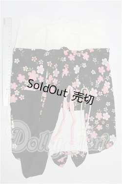 画像5: DD/OF:衣装セット S-26-04-26-125-TO-ZS