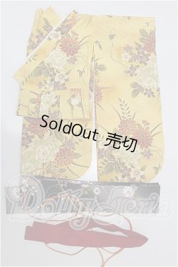 画像1: DD/OF:衣装セット S-26-08-02-488-TO-ZS