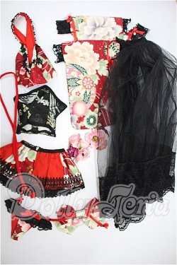 画像1: DD/OF:衣装セット S-26-04-19-220-TO-ZS