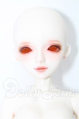 BLANCA/1/4ドールサイズヘッド+ボディ S-26-04-12-201-TO-ZS