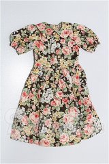 SDM＆MSD/OF:ワンピース S-26-04-26-141-YB-ZS