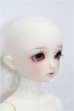 画像5: SDM女の子/ちよ 10周年記念Ver. S-26-04-26-201-TO-ZS