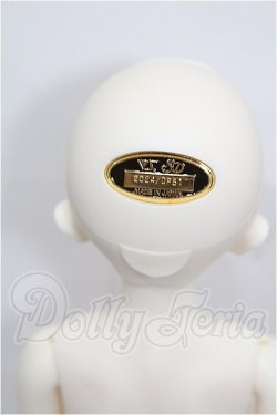 画像6: SDM女の子/ちよ 10周年記念Ver. S-26-04-26-201-TO-ZS