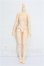 画像1: azone/ピュアニーモ2フィールボディ S-26-05-10-336-TO-ZS (1)