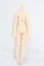 画像2: azone/ピュアニーモ2フィールボディ S-26-05-10-336-TO-ZS (2)