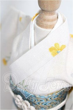 画像4: MSD/OF:着物セット S-26-04-26-320-TO-ZS