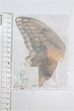 画像2: SDM＆MSD/OF:小物 S-26-04-26-327-TO-ZS