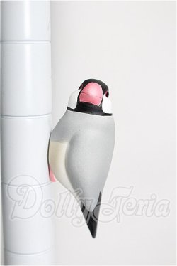 画像1: SDM＆MSD/OF:小物 S-26-04-26-330-TO-ZS