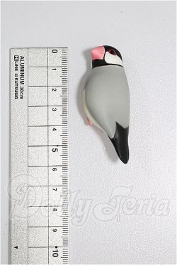 画像3: SDM＆MSD/OF:小物 S-26-04-26-330-TO-ZS