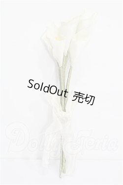 画像1: SD/OF:小物 S-26-04-26-333-TO-ZS