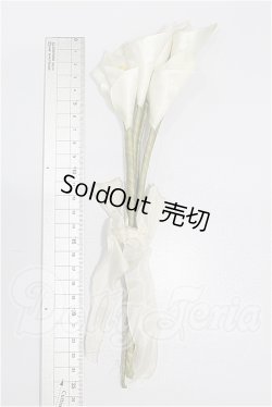 画像2: SD/OF:小物 S-26-04-26-333-TO-ZS