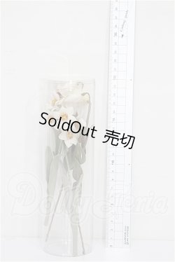 画像2: SD/OF:小物 S-26-04-26-334-TO-ZS