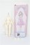 画像3: CFDoll/1/6ボディ S-26-05-03-105-TO-ZS (3)