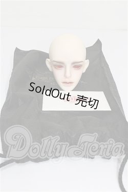 画像5: LUTS/Grand Senior Delf SIRIUS Head S-26-07-05-522-TO-ZS