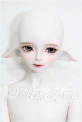 LUTS/Kid45 Delf KAI ELF 2 ver. Limited S-26-05-03-202-TO-ZS