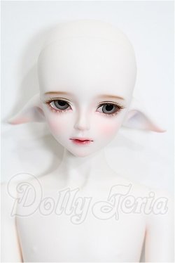 画像1: LUTS/Kid45 Delf KAI ELF 2 ver. Limited S-26-05-03-202-TO-ZS